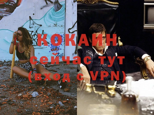 ешки Нефтегорск