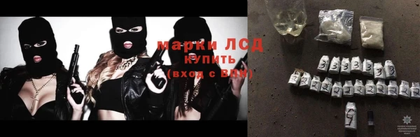 трава Новозыбков