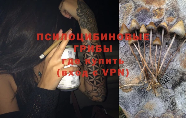 трава Новозыбков