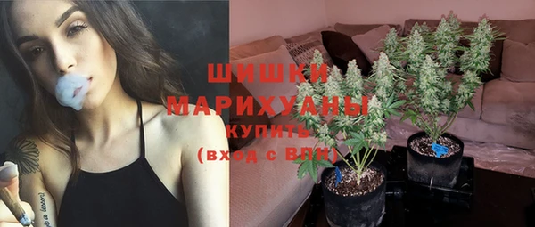 трава Новозыбков