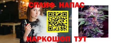 стафф Балаково