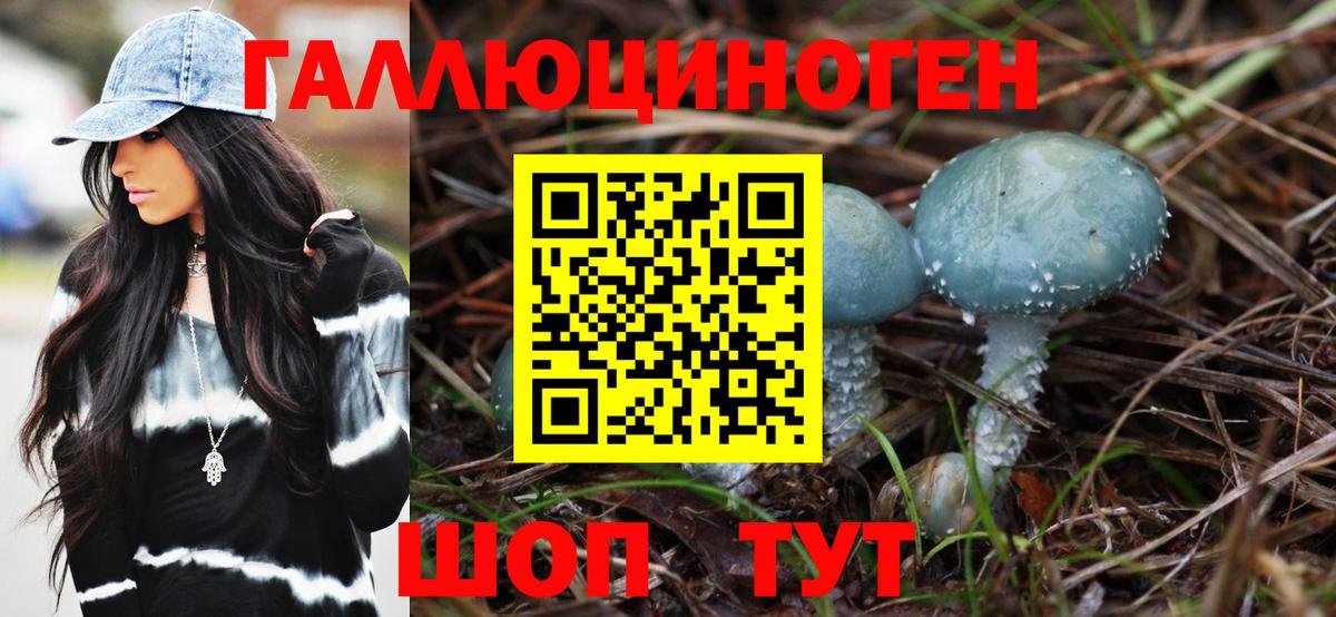 Псилоцибиновые грибы GOLDEN TEACHER Лысьва